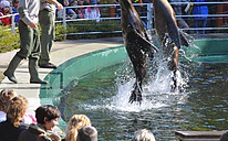 Zdroj: ZOO Budapešť
